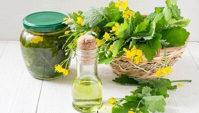 celandinska decoction za zdravljenje gliv nohtov